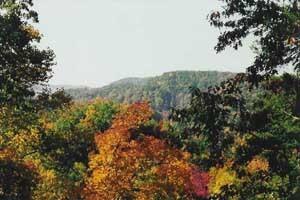 Mountain Views from this Pigeon Forge cabin rental